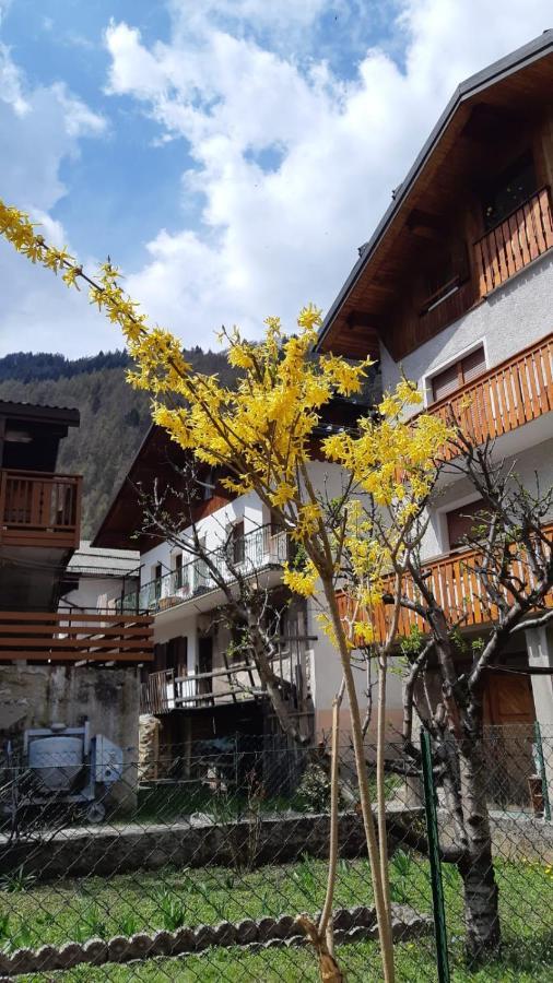 فيلا Casa Mascia سنسنيجا المظهر الخارجي الصورة