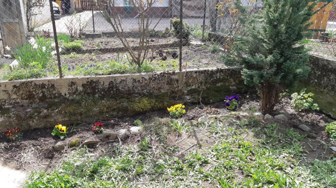 فيلا Casa Mascia سنسنيجا المظهر الخارجي الصورة